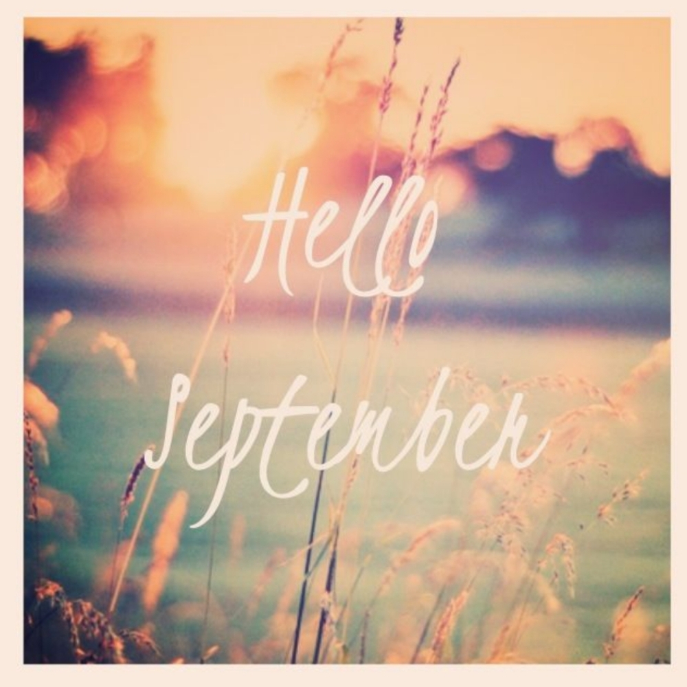 ✨Clear Out Sale ✨ - Picture 13 of 16